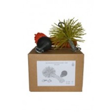200 bolveegset Nylon met touw 56/6
